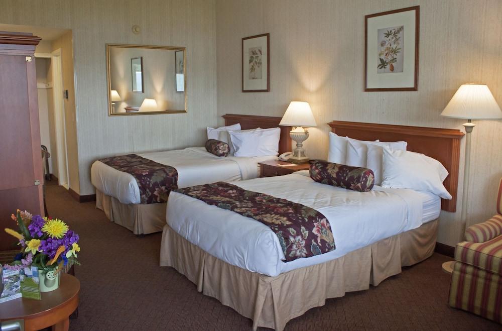 Hotel William Henry 3*
